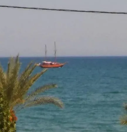 Triton 3*